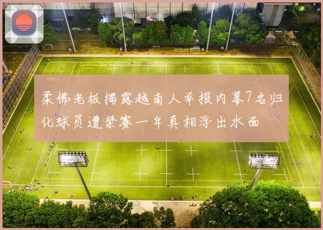 柔佛老板揭露越南人举报内幕7名归化球员遭禁赛一年真相浮出水面